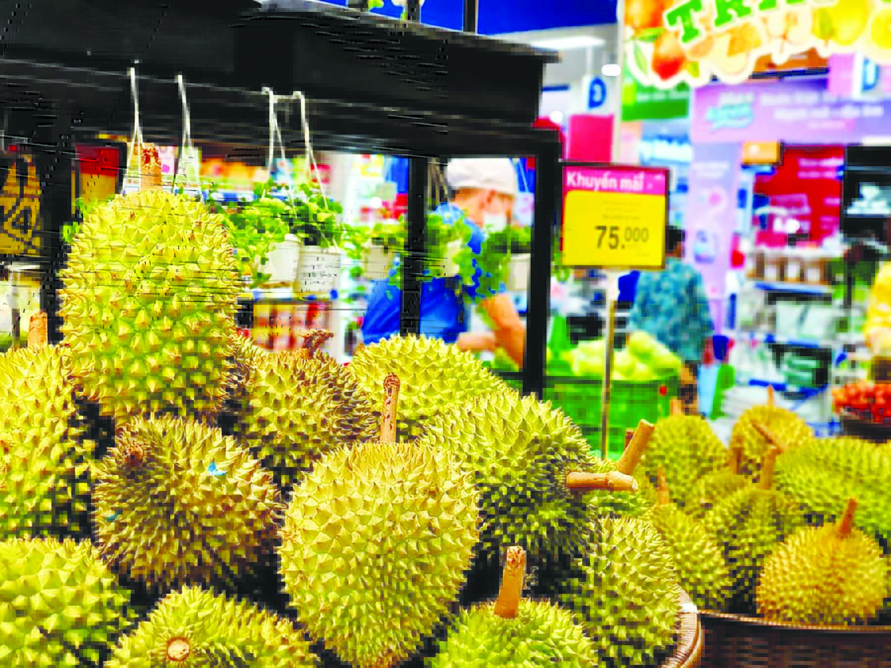 Hè rộn ràng, ngập tràn khuyến mãi - Ảnh 1.
