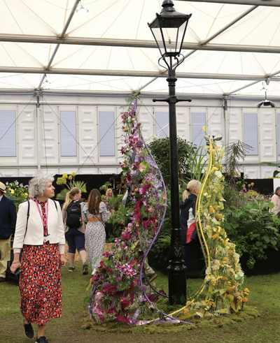 Giao h&ograve;a Vũ điệu &aacute;nh s&aacute;ng - Ảnh 1.