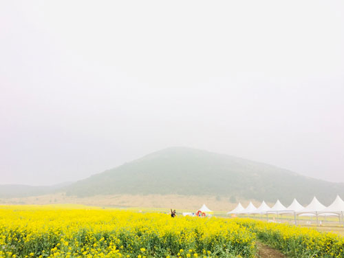 Hạ c&aacute;nh nơi... Jeju - Ảnh 2.