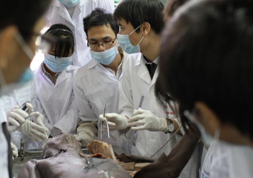 Bộ Y tế nói gì về việc xét tuyển y khoa bằng môn văn?
