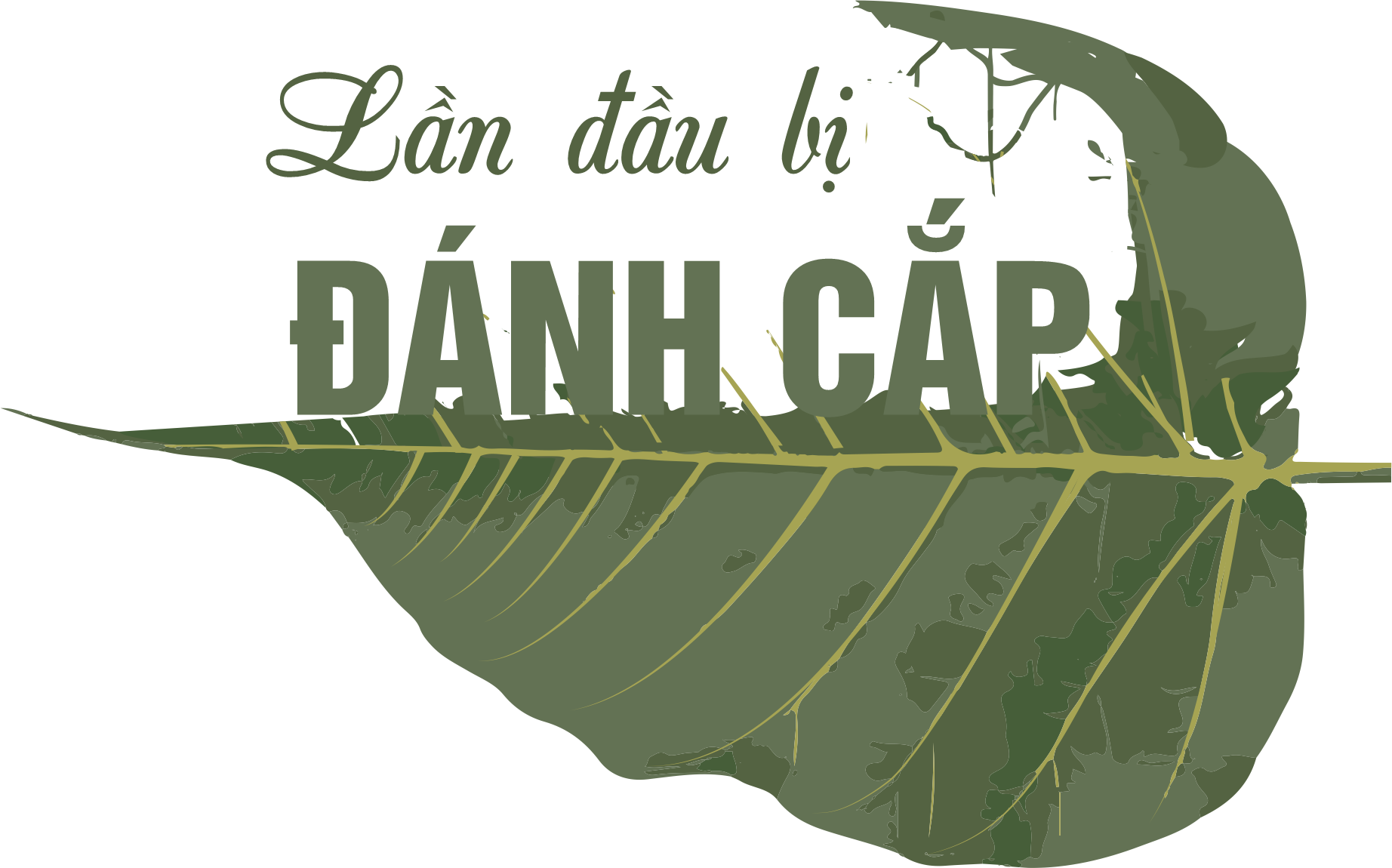 Cận cảnh bảo vật quốc gia: Ly kỳ tượng Phật 2 lần mất cắp - Ảnh 5.