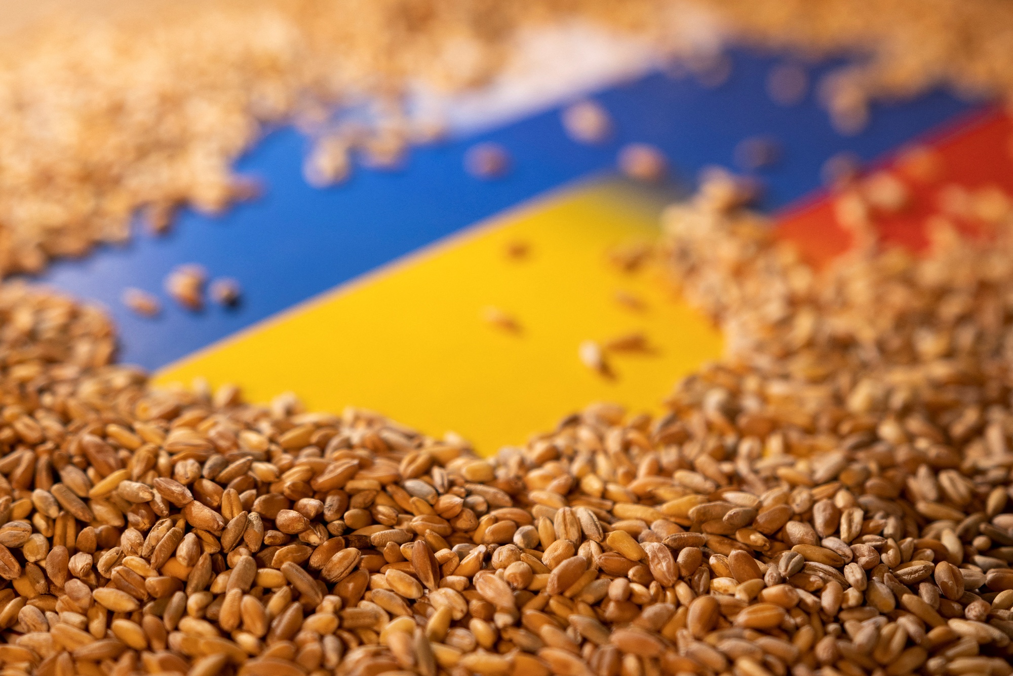 Châu Âu "cấm cửa một phần" ngũ cốc Ukraine, Nga bác cáo buộc "tàu cá gián điệp"
