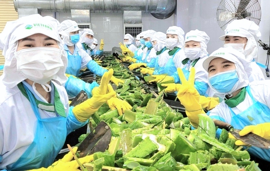 Nơi những người hạnh ph&uacute;c l&agrave;m n&ecirc;n thực phẩm hạnh ph&uacute;c - Ảnh 1.