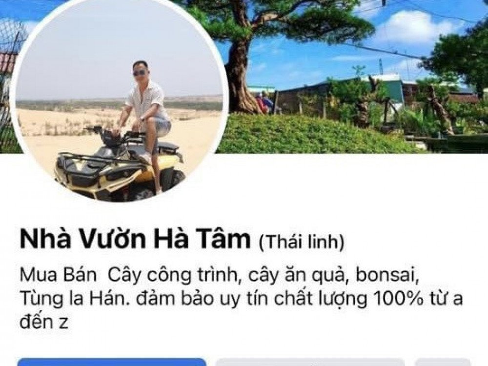 Lập Facebook ảo lừa b&aacute;n c&acirc;y cảnh gi&aacute; rẻ để chiếm đoạt t&agrave;i sản - Ảnh 2.