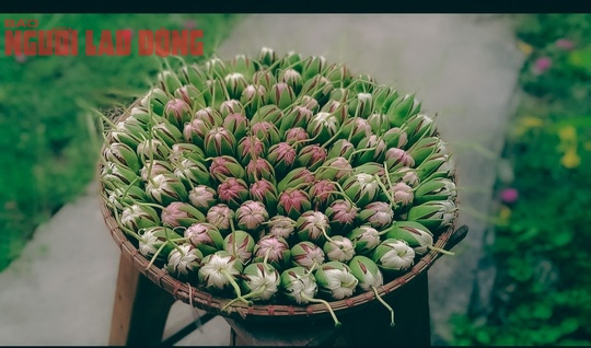 Gỏi b&ocirc;ng bần đổi vị ng&agrave;y h&egrave; - Ảnh 2.