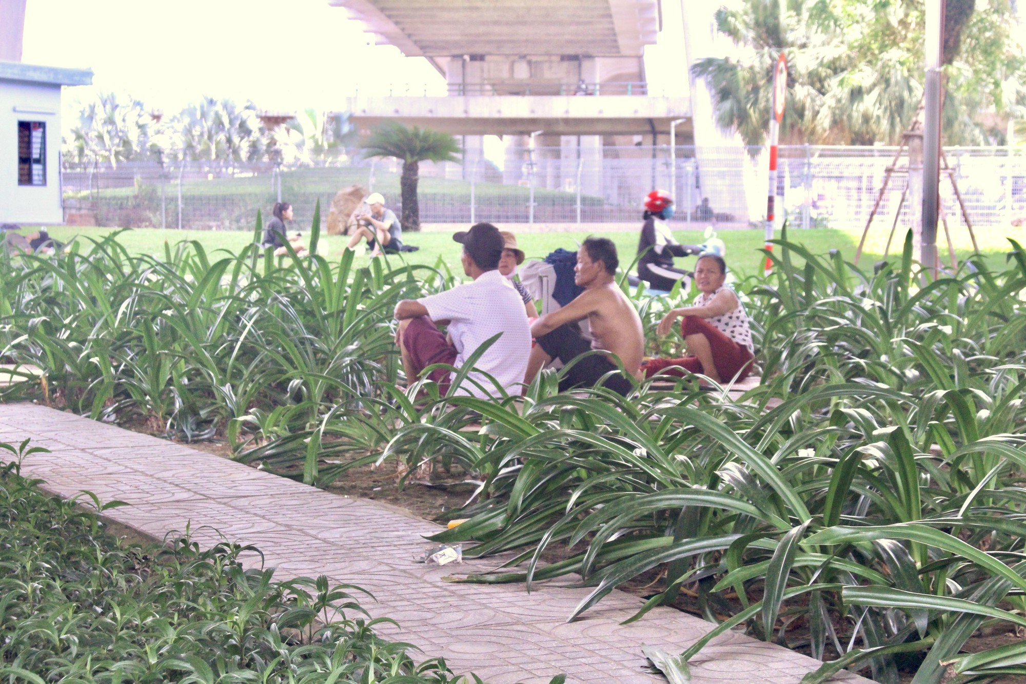 Giấc ngủ vội dưới gầm cầu, loay hoay chống n&oacute;ng ở Đ&agrave; Nẵng - Ảnh 10.
