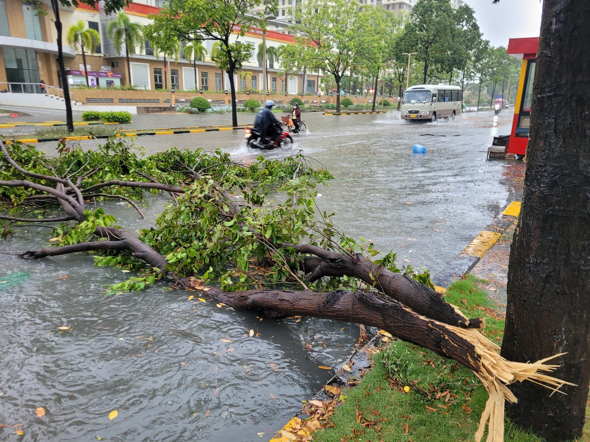 TP HCM đón cơn mưa vàng - Ảnh 8.