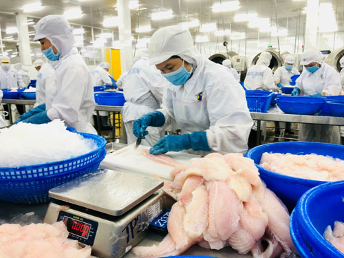 Ngành thủy sản nỗ lực cầm cự