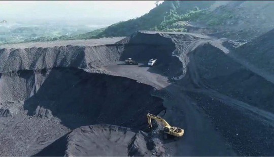 Truy tố 2 đại gia sinh đ&ocirc;i lan đột biến ở Quảng Ninh - Ảnh 3.