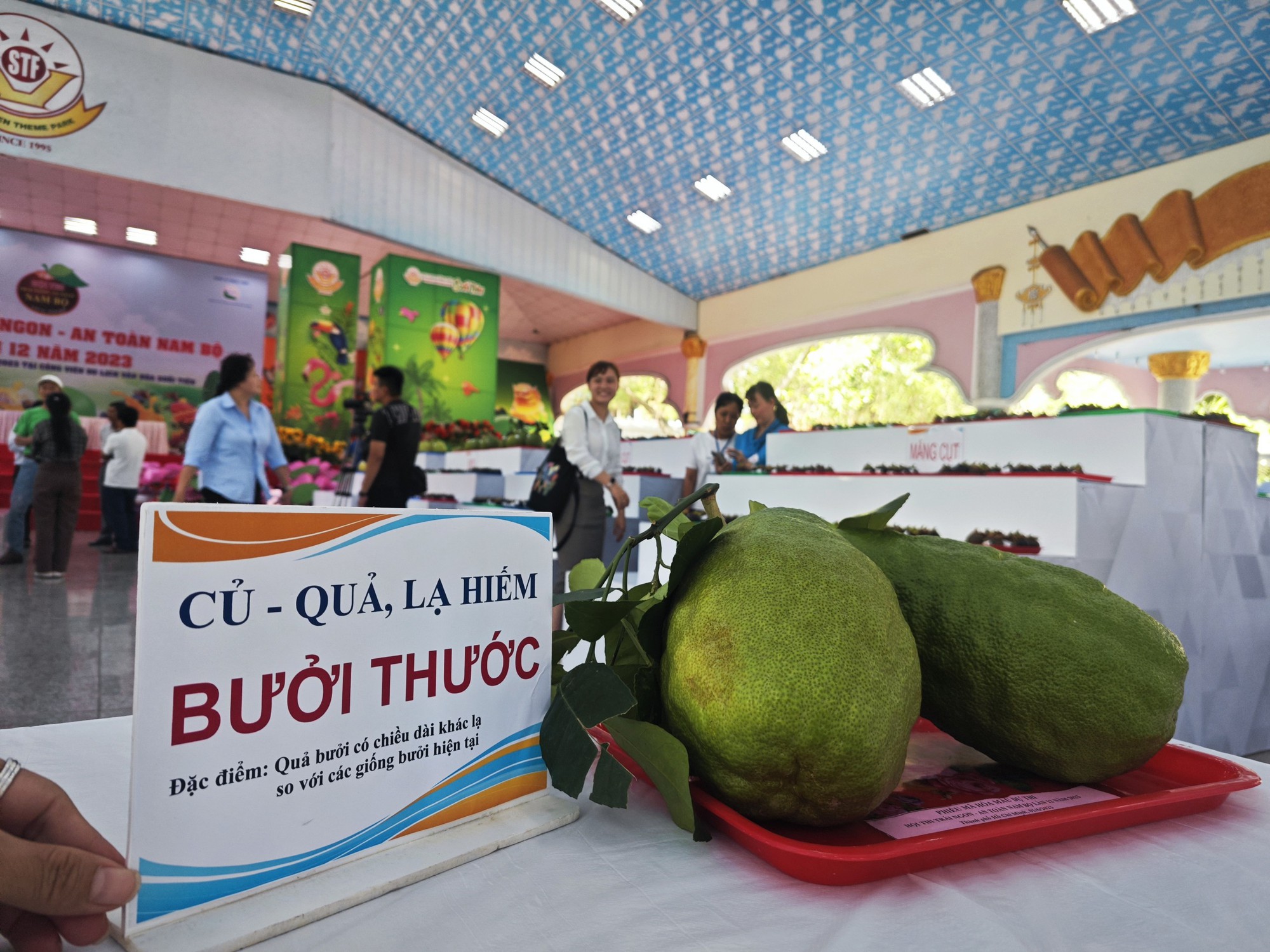 Sầu ri&ecirc;ng, măng cụt gi&aacute; rẻ bất ngờ tại Lễ hội Tr&aacute;i c&acirc;y Nam Bộ - Ảnh 3.