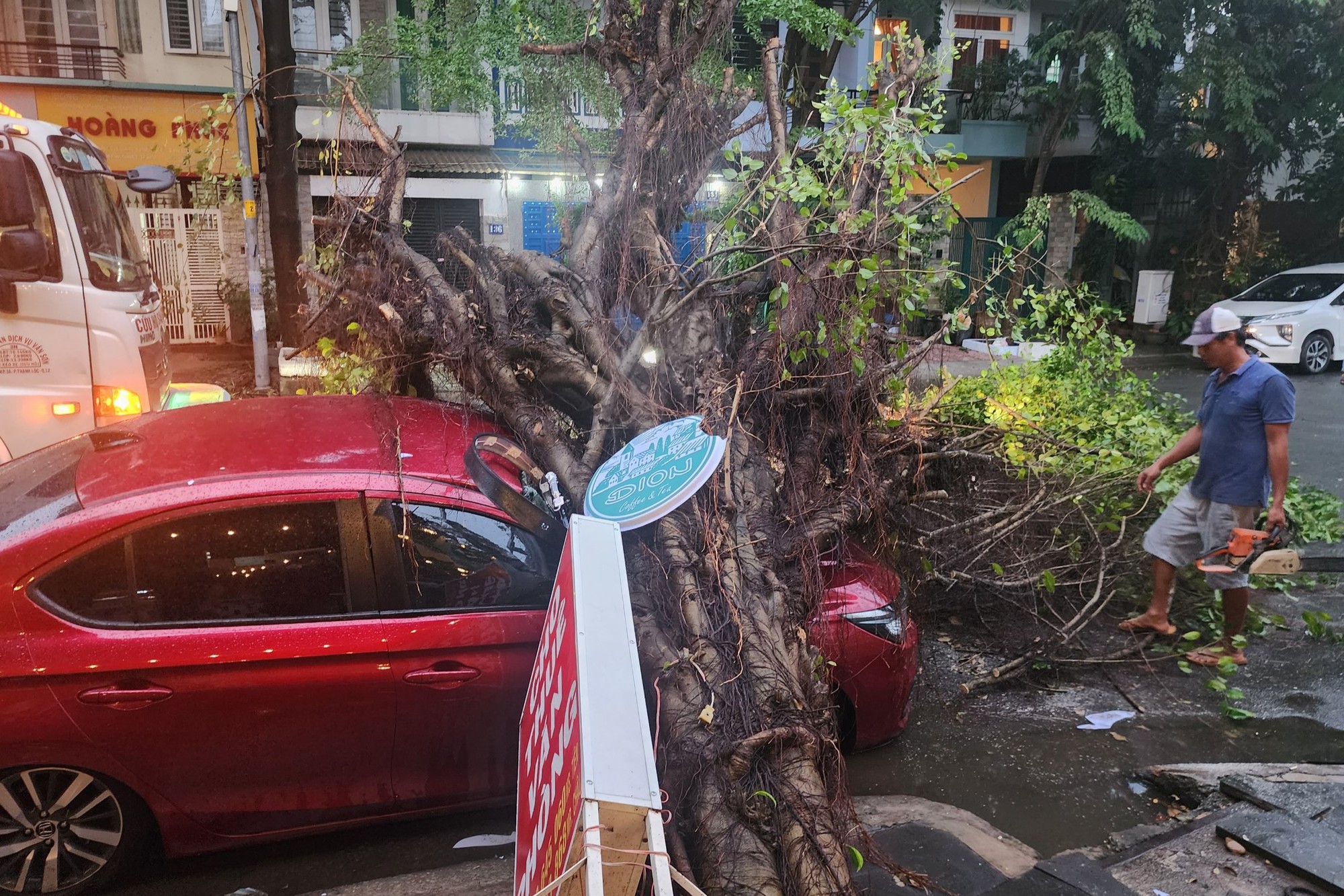 Cây Si bật gốc đè ôtô 4 chỗ ở TP Thủ Đức