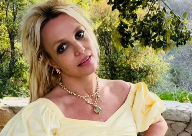 Britney Spears tan nát cõi lòng khi bị con bịa chuyện tái nghiện