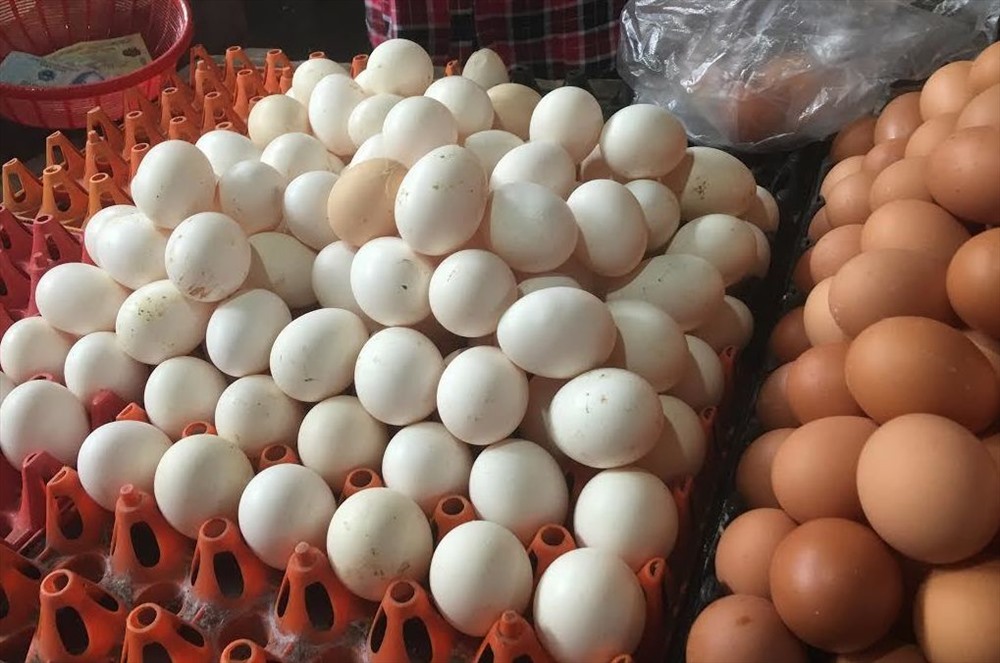 Giá trứng gia cầm giảm sâu