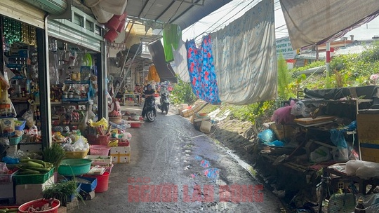 Thực hư căn nh&agrave; c&oacute; lối đi kỳ lạ ở TP Cần Thơ - Ảnh 7.