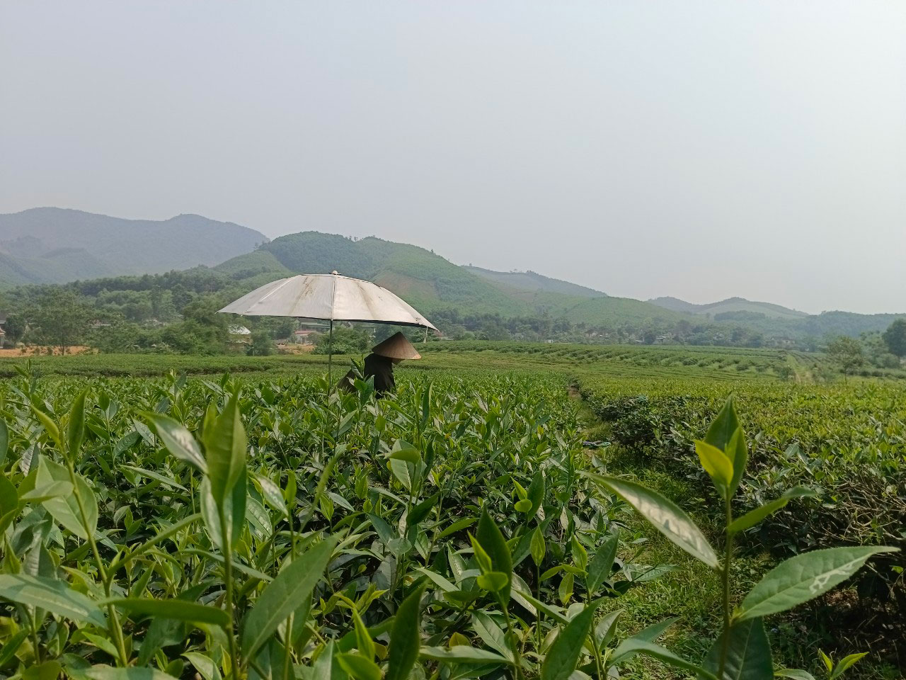 Mỏi m&ograve;n chờ đền b&ugrave; ở dự &aacute;n thủy điện - Ảnh 1.
