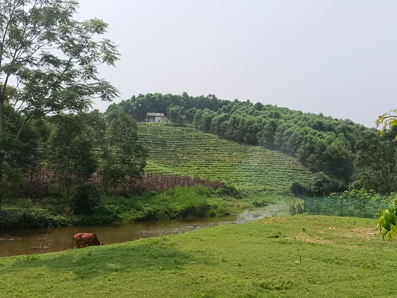 Mỏi m&ograve;n chờ đền b&ugrave; ở dự &aacute;n thủy điện - Ảnh 3.