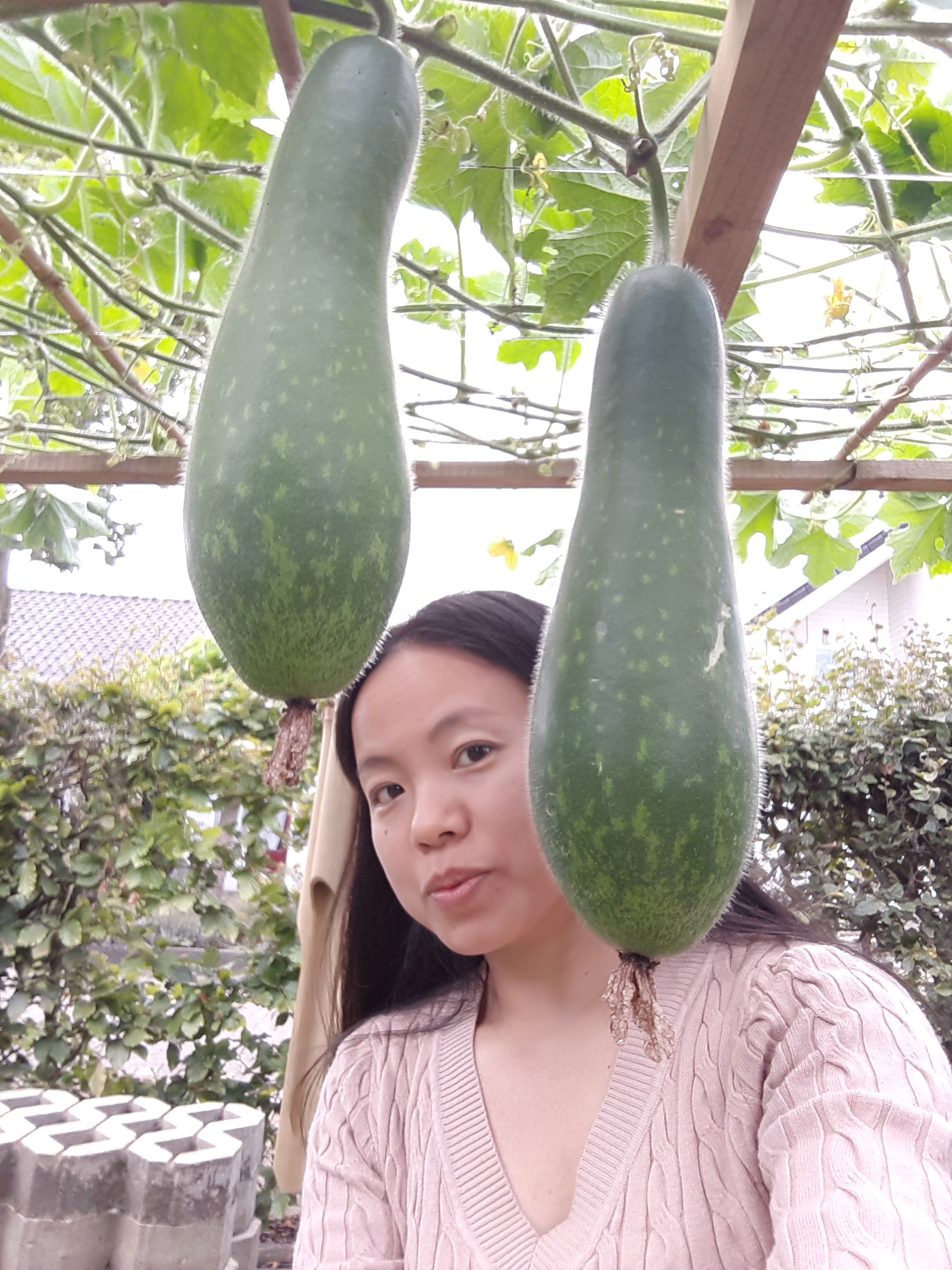 Vườn rau Việt giữa trời &Acirc;u - Ảnh 1.