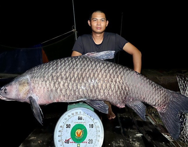 "Cần thủ" câu được cá trắm đen “khủng” hơn 40 kg
