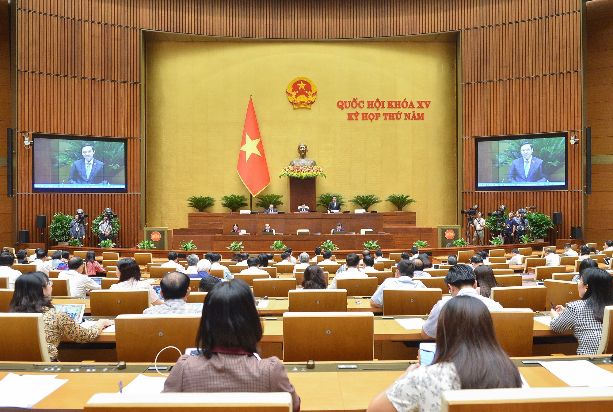 Đại biểu Quốc hội: Nhiều người nước ngoài núp bóng, thu mua nhiều đất đai - Ảnh 1.