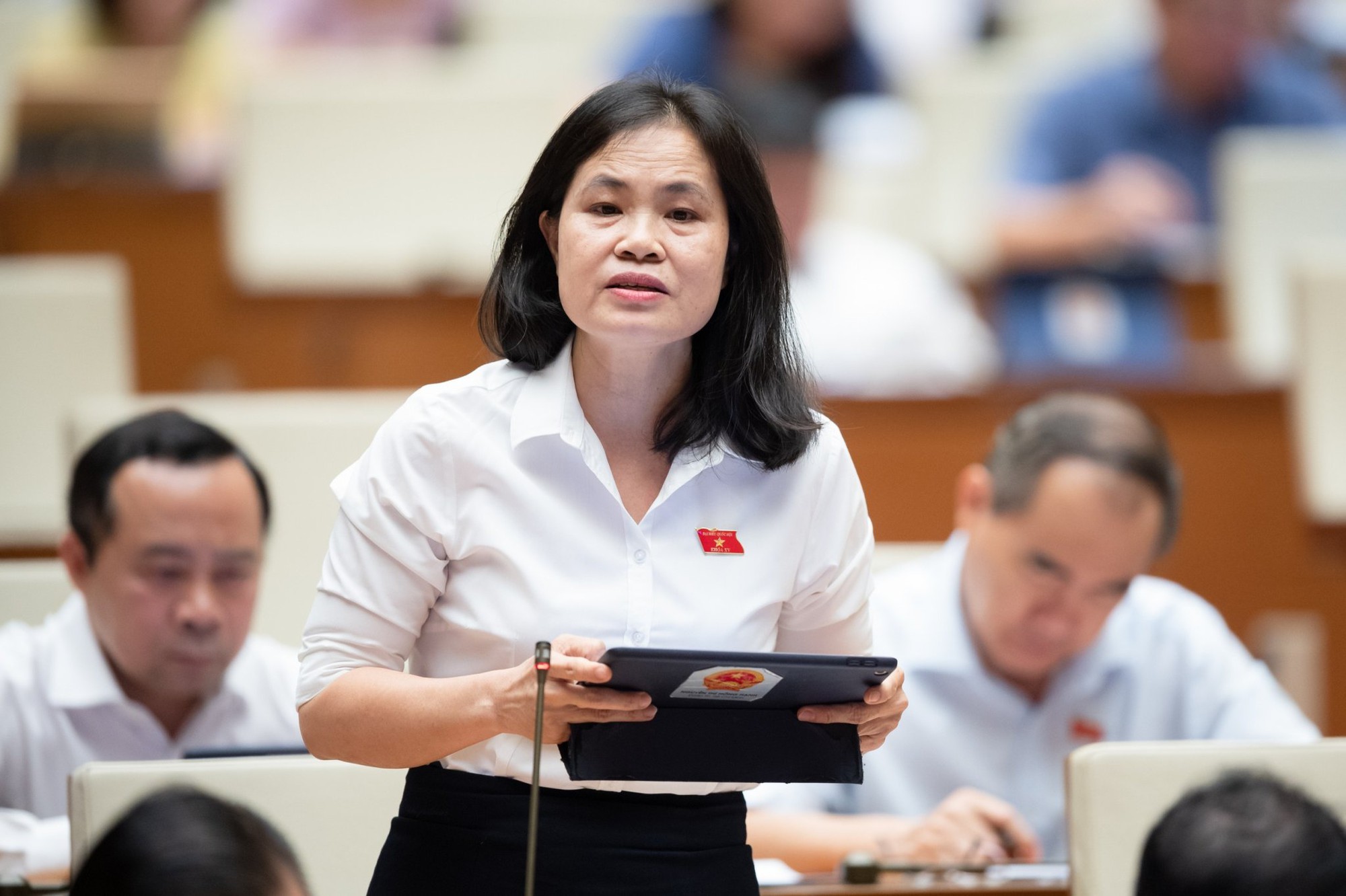 Đại biểu Quốc hội: Nhiều người nước ngoài núp bóng, thu mua nhiều đất đai - Ảnh 3.