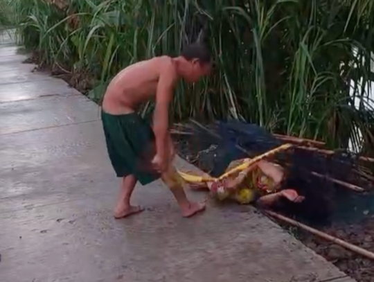Vĩnh Long: Khởi tố người chồng đánh vợ bằng chổi