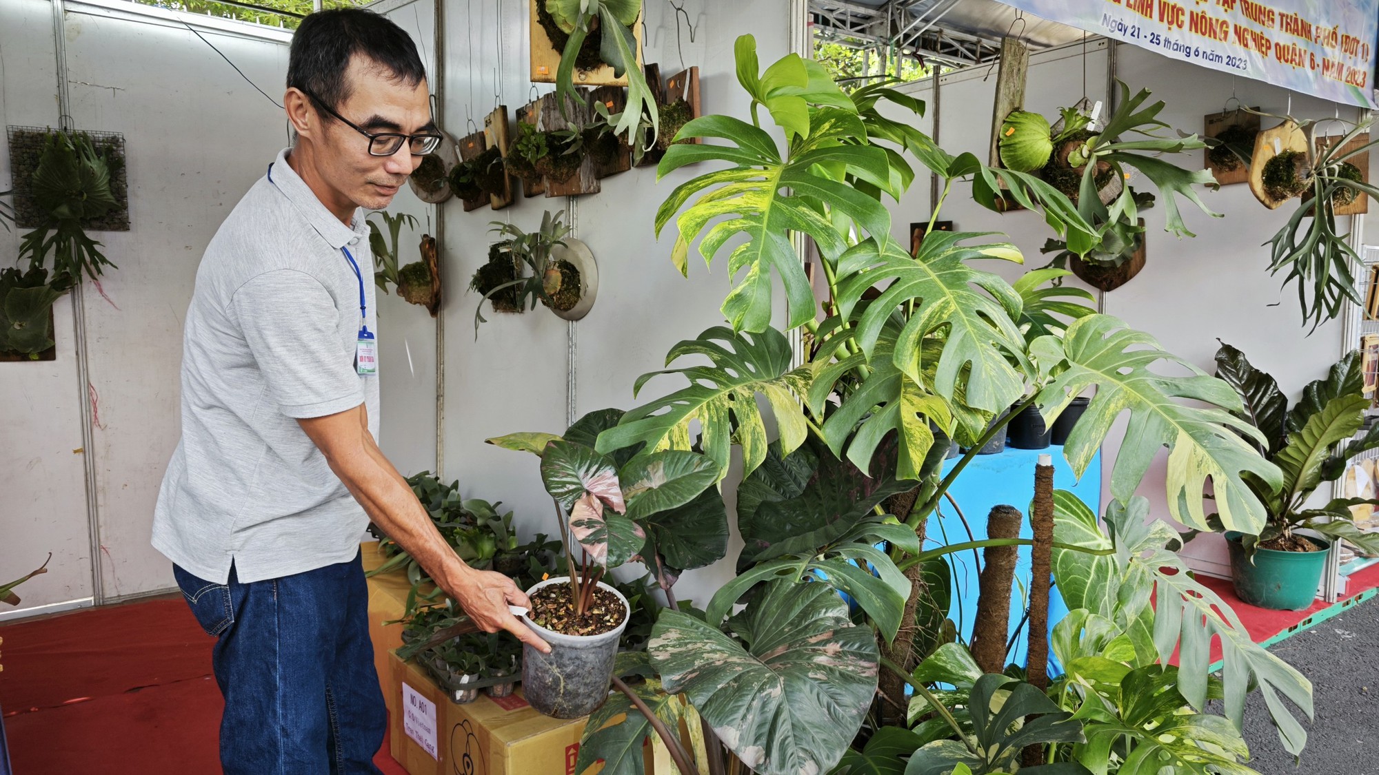 Rủ nhau đi xem kiểng l&aacute;, th&uacute; cưng, c&aacute; cảnh gi&aacute; bạc triệu tại hội chợ giống n&ocirc;ng nghiệp - Ảnh 7.