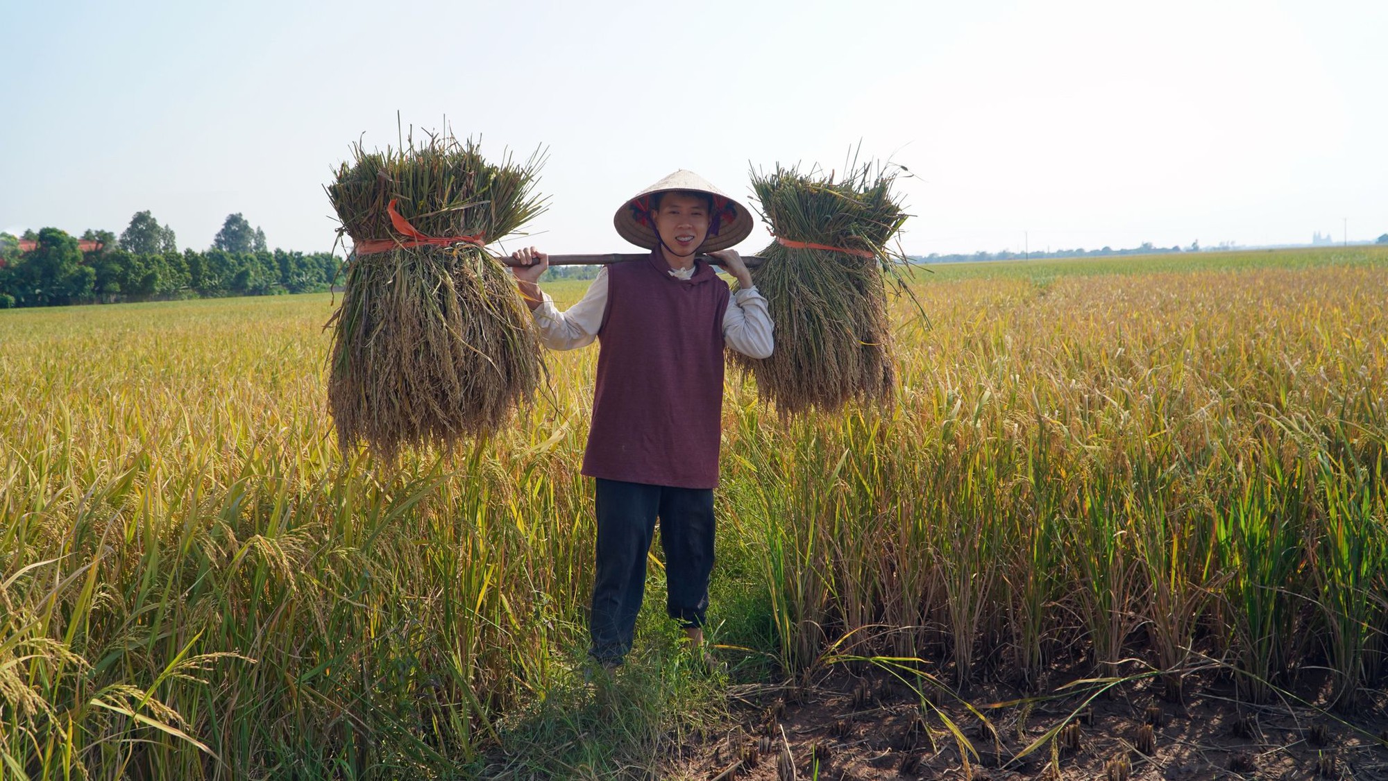 Rời phố về quê lập nghiệp