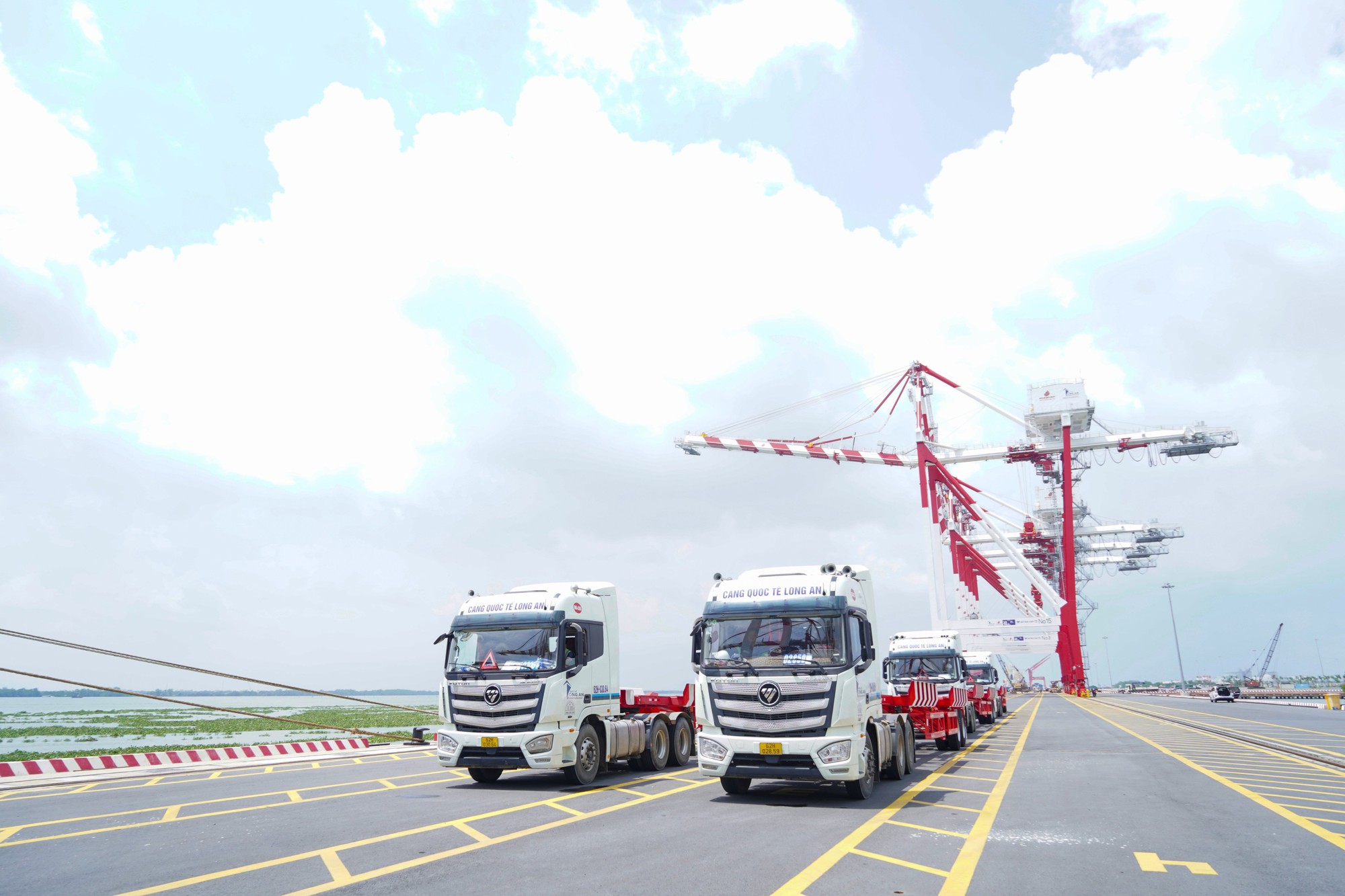 Cảng quốc tế Long An hợp long 7 cầu cảng v&agrave; khai trương dịch vụ khai th&aacute;c h&agrave;ng container - Ảnh 4.