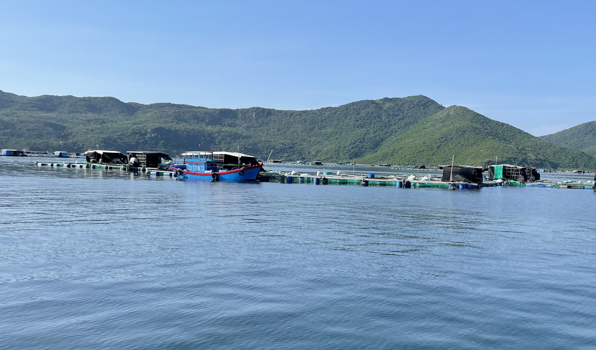 VỤ CÔN ĐỒ LỘNG HÀNH Ở VỊNH VÂN PHONG: Cảnh sát hình sự Khánh Hòa thụ lý vụ việc