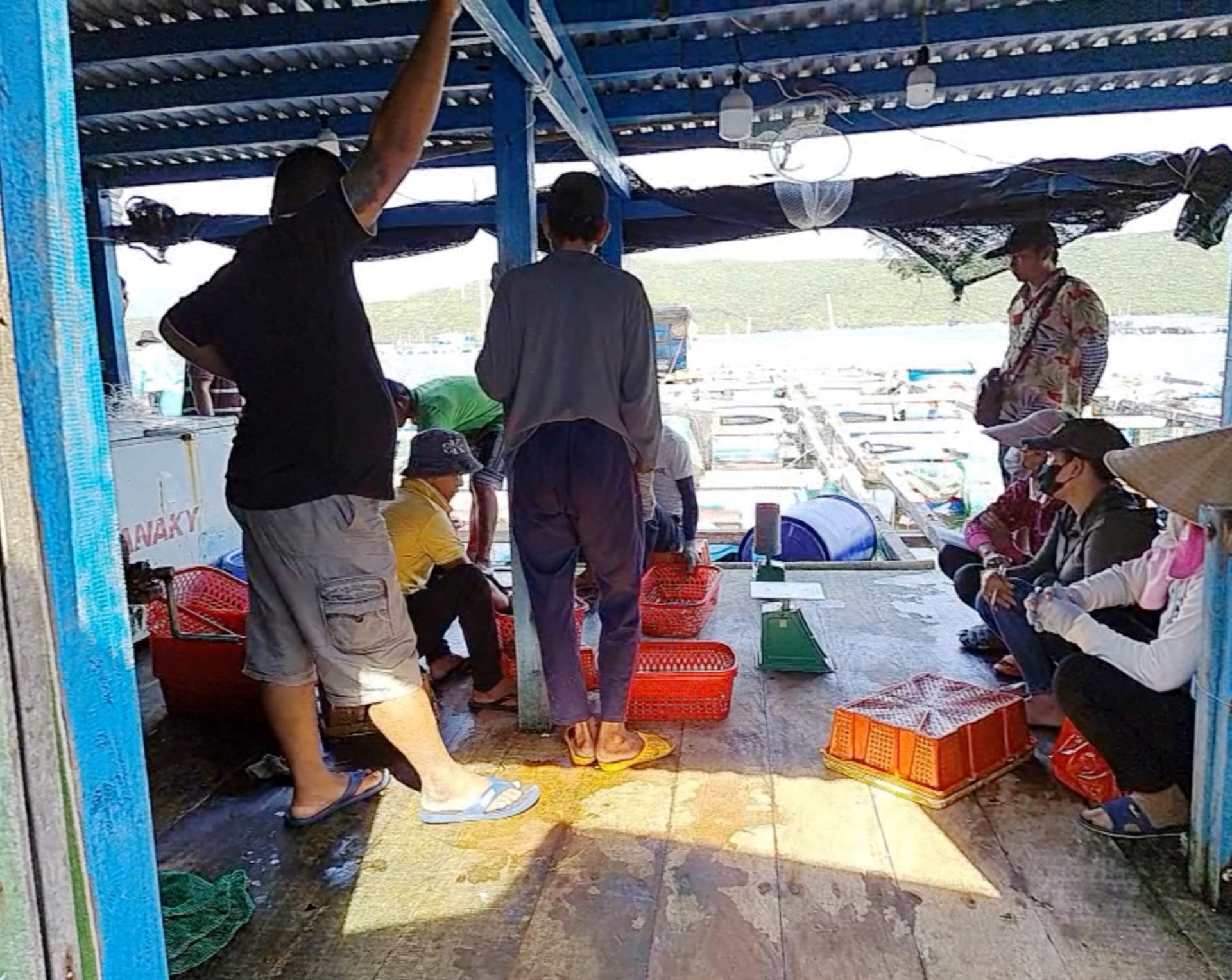 Sau loạt bài "côn đồ lộng hành ở Vịnh Vân Phong": Trả lại bình yên cho người dân