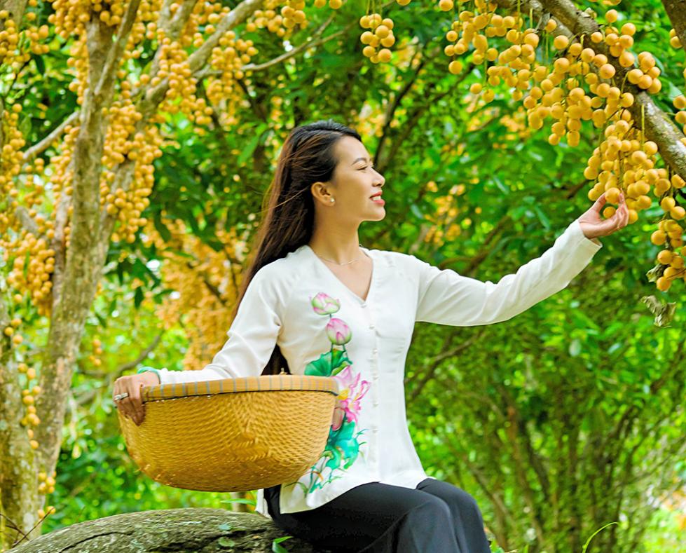 Thiên Cấm Sơn vào mùa cây trái sum sê