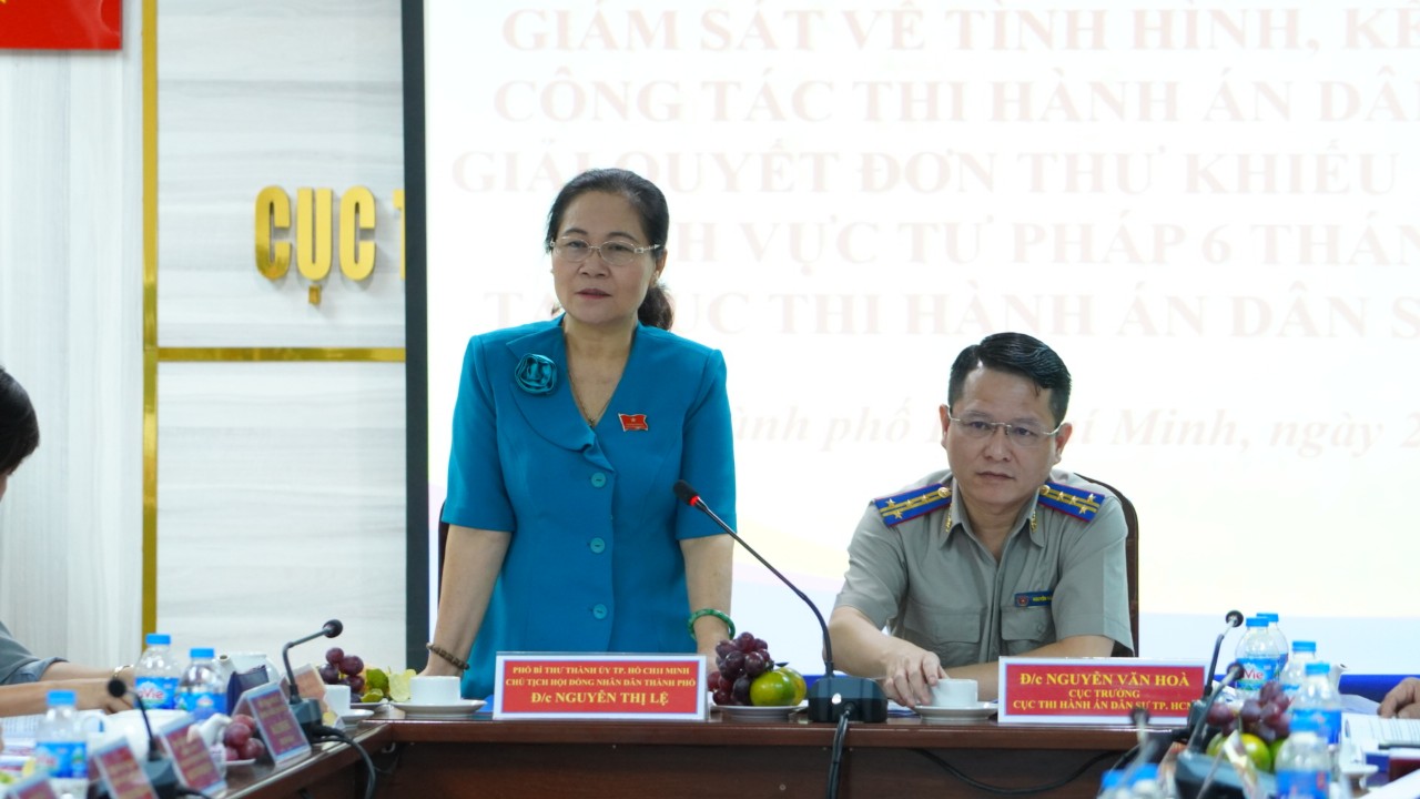 Thi hành án dân sự ở TP HCM: Vẫn còn một số con sâu làm rầu nồi canh - Ảnh 1.