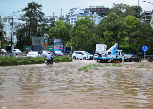 Đà Lạt cứ mưa là ngập, vì đâu?
