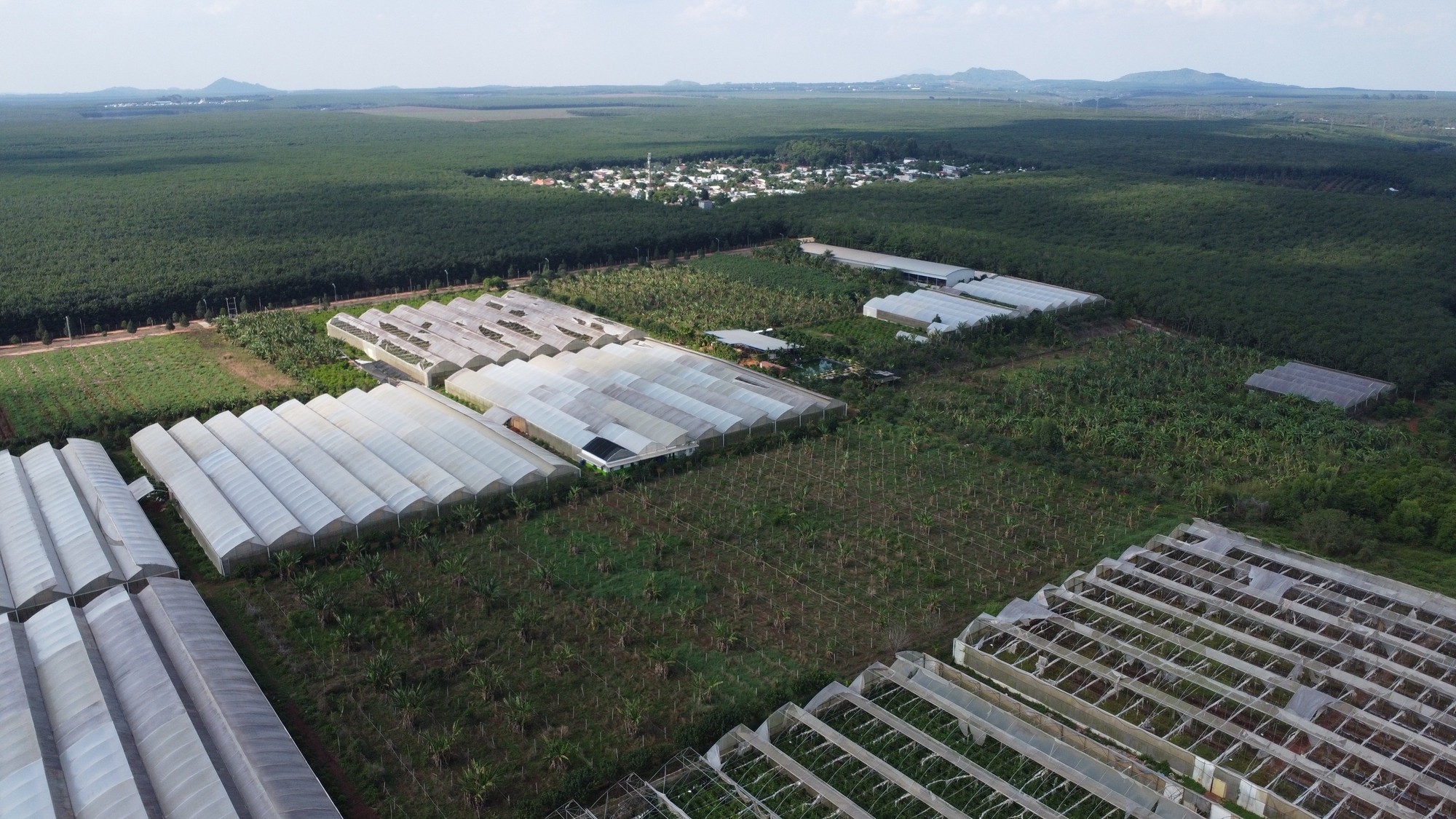 Đồng Nai: X&eacute;t xử l&atilde;nh đạo Sở v&agrave; thuộc cấp l&agrave;m thất tho&aacute;t gần 30 tỉ đồng - Ảnh 3.