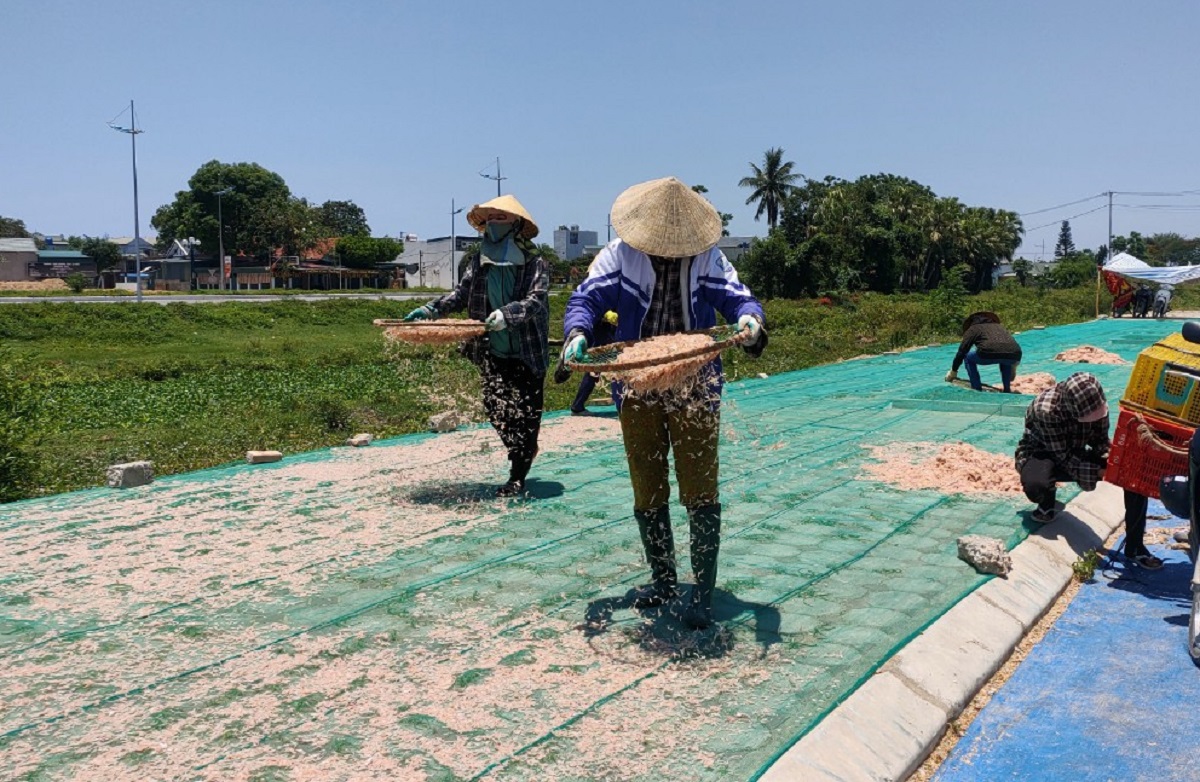 Nắng như đổ lửa, ngư dân Thanh Hóa vẫn lao ra biển mưu sinh - Ảnh 8.