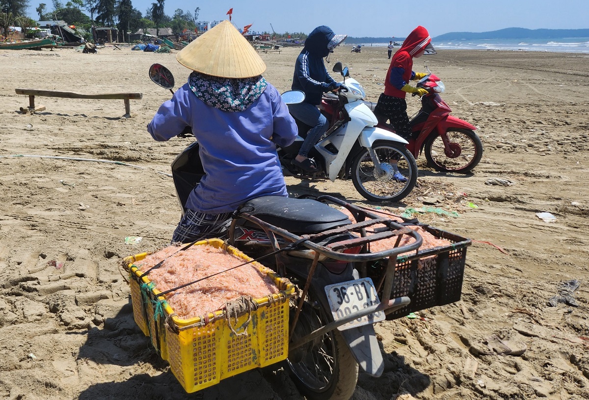 Nắng như đổ lửa, ngư dân Thanh Hóa vẫn lao ra biển mưu sinh - Ảnh 5.