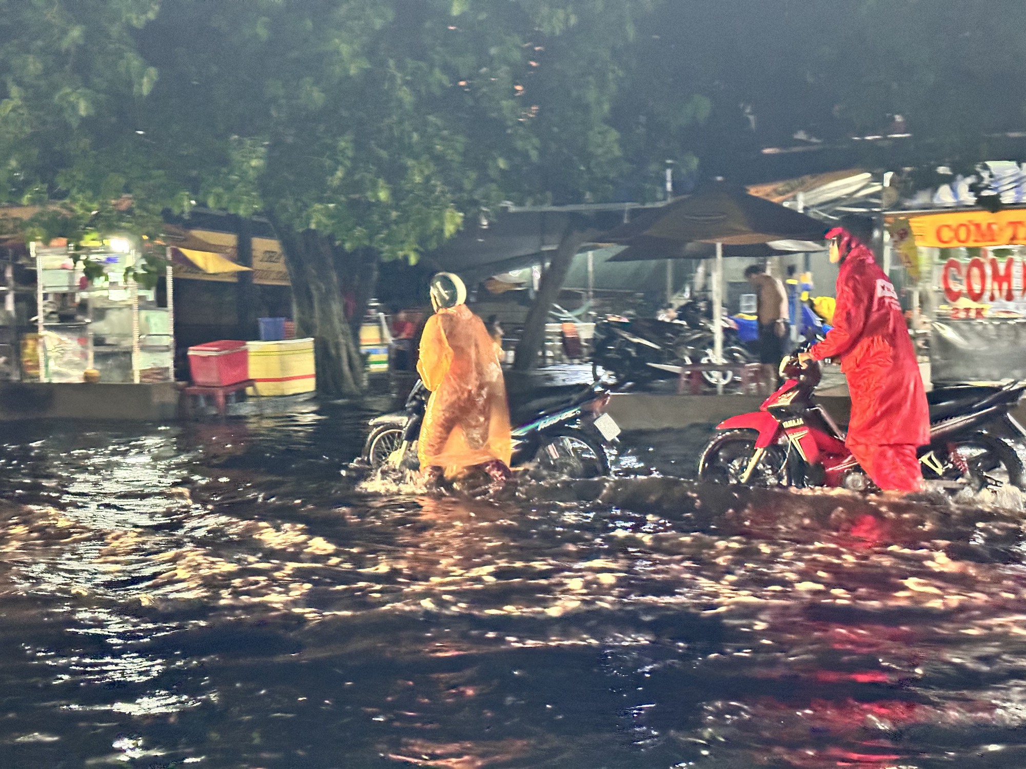 TP HCM: Mưa lớn, cây cao hơn 10m bật gốc đổ xuống đường - Ảnh 6.