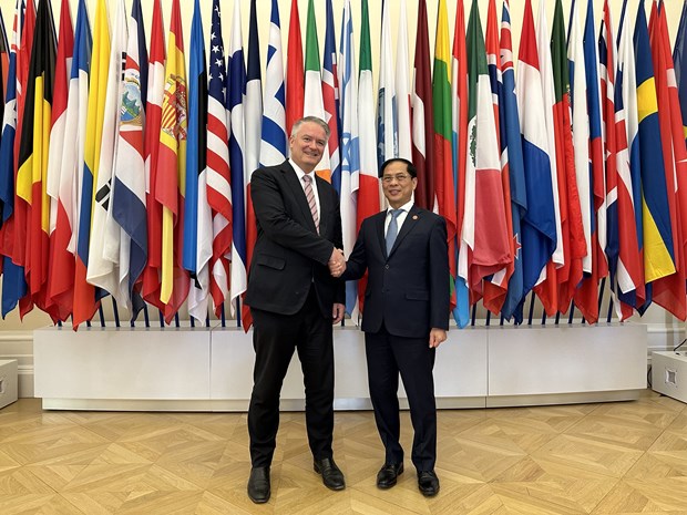 Bộ trưởng B&ugrave;i Thanh Sơn gặp Tổng Thư k&yacute; OECD Mathias Cormann - Ảnh 1.