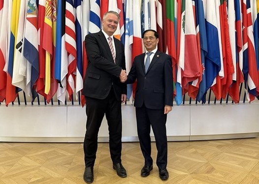 Bộ trưởng Bùi Thanh Sơn gặp Tổng Thư ký OECD Mathias Cormann