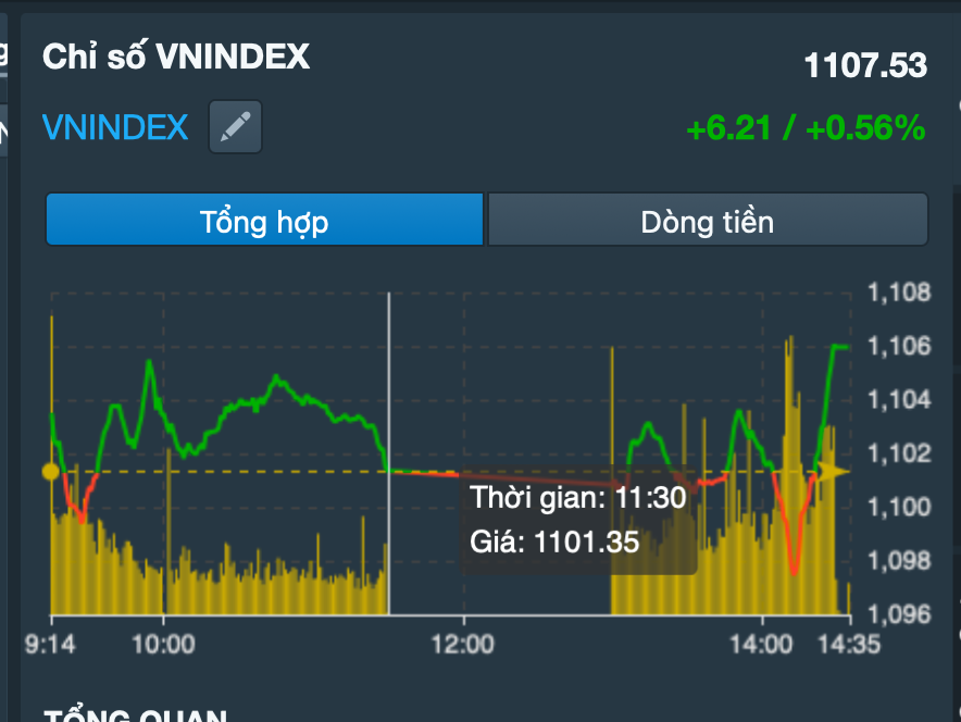 Nh&agrave; đầu tư &ldquo;đi t&agrave;u lượn&rdquo; trong ng&agrave;y chứng kho&aacute;n kịch t&iacute;nh - Ảnh 2.