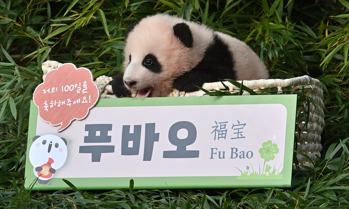 Định vị các tọa độ siêu hot tại Hàn Quốc khiến bạn mê mẩn quên lối về - Ảnh 3.