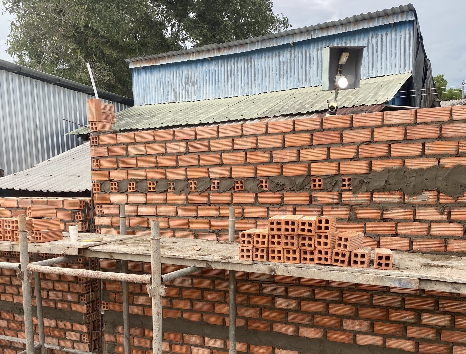 Một người từng làm việc tại văn phòng công chứng ở Phú Quốc bị tố giác - Ảnh 3.