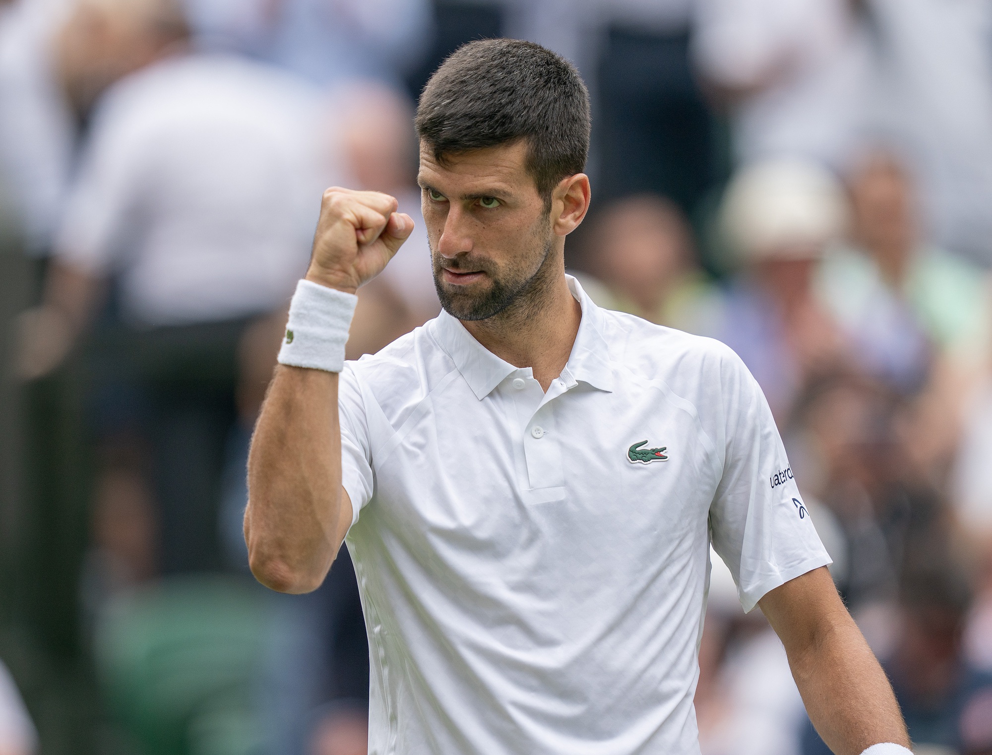 Djokovic y&ecirc;u cầu thay đổi giờ bắt đầu thi đấu, Wimbledon chứng kiến 2 t&acirc;n binh v&agrave;o tứ kết - Ảnh 2.