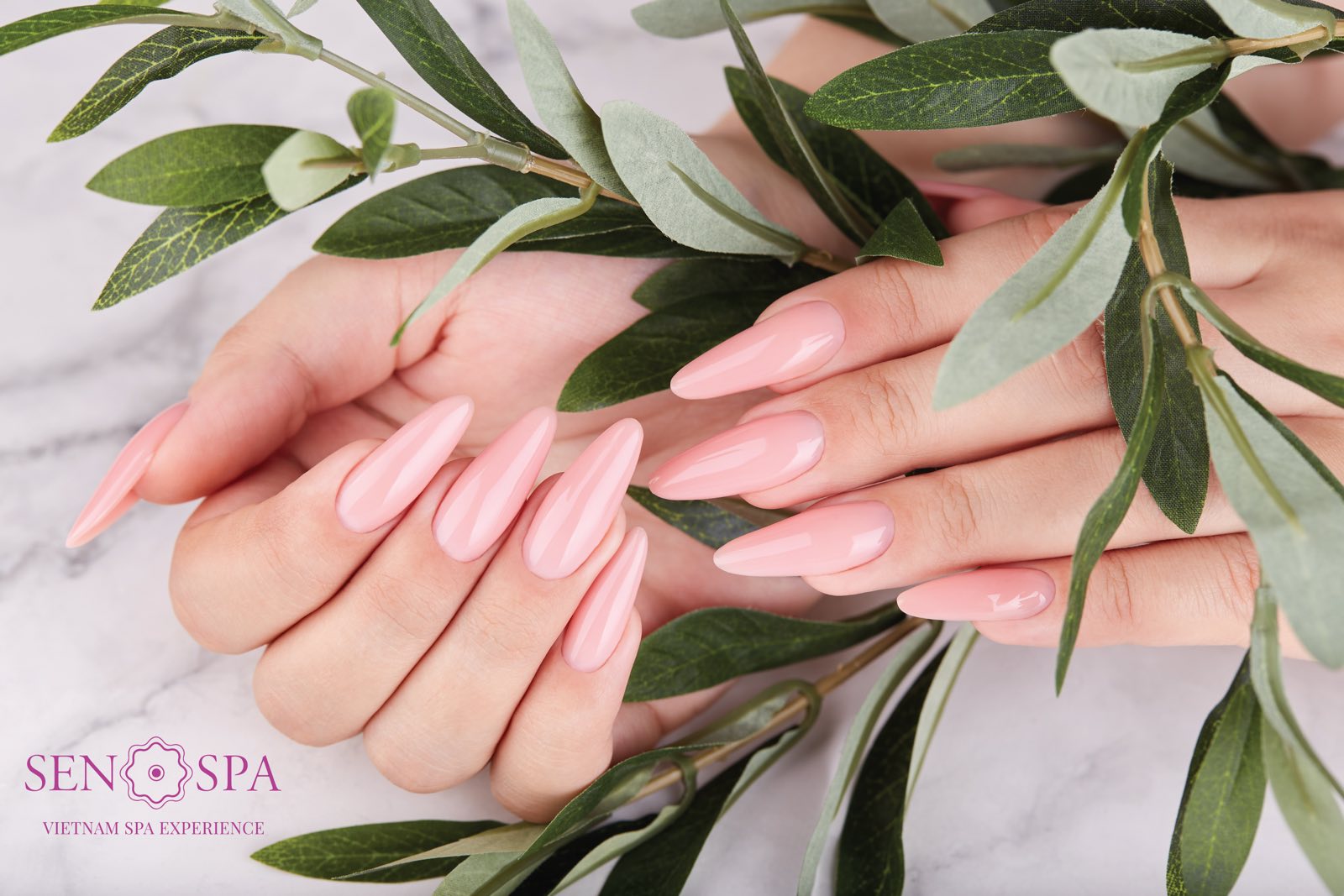 Sen Spa khai trương dịch vụ tạo mẫu m&oacute;ng v&agrave; gội đầu dưỡng sinh - Ảnh 2.