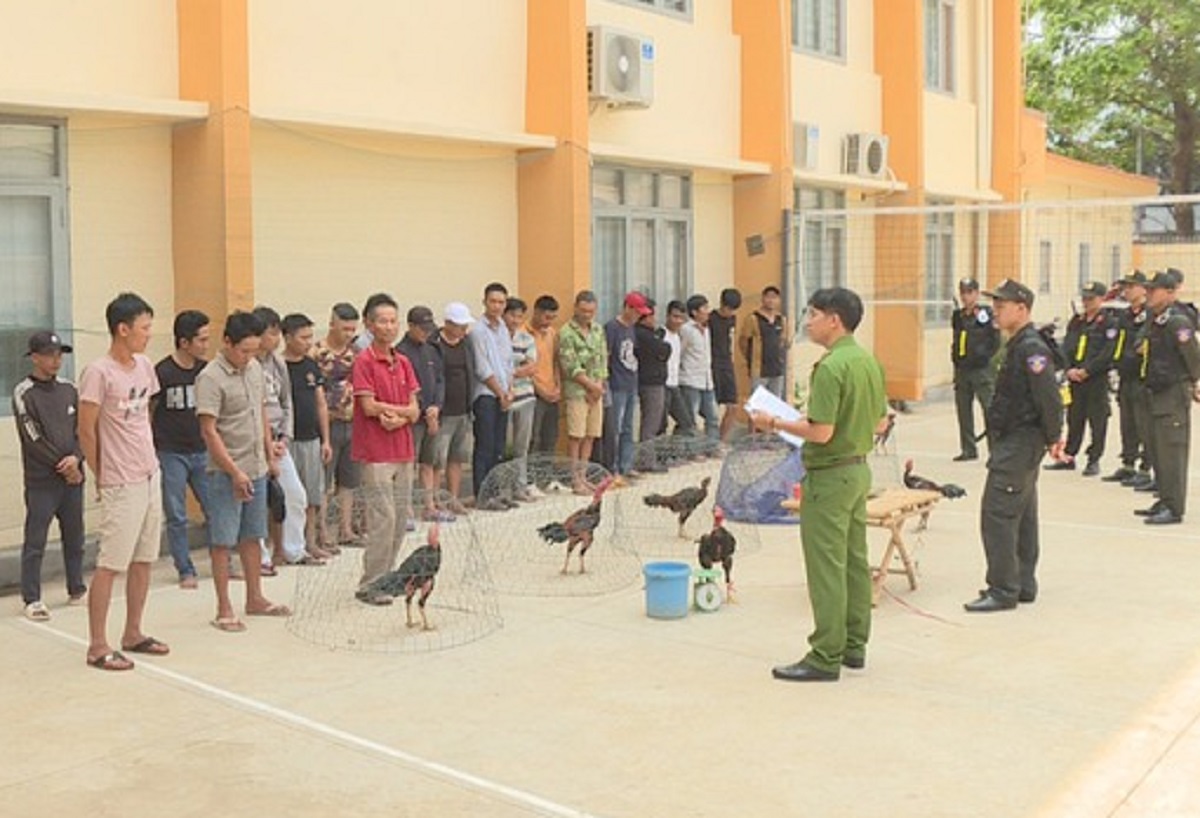 Phá sới gà "khủng" bắt 142 người đang đá gà ăn tiền