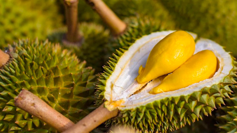 Giá sầu riêng bất ngờ tăng vọt