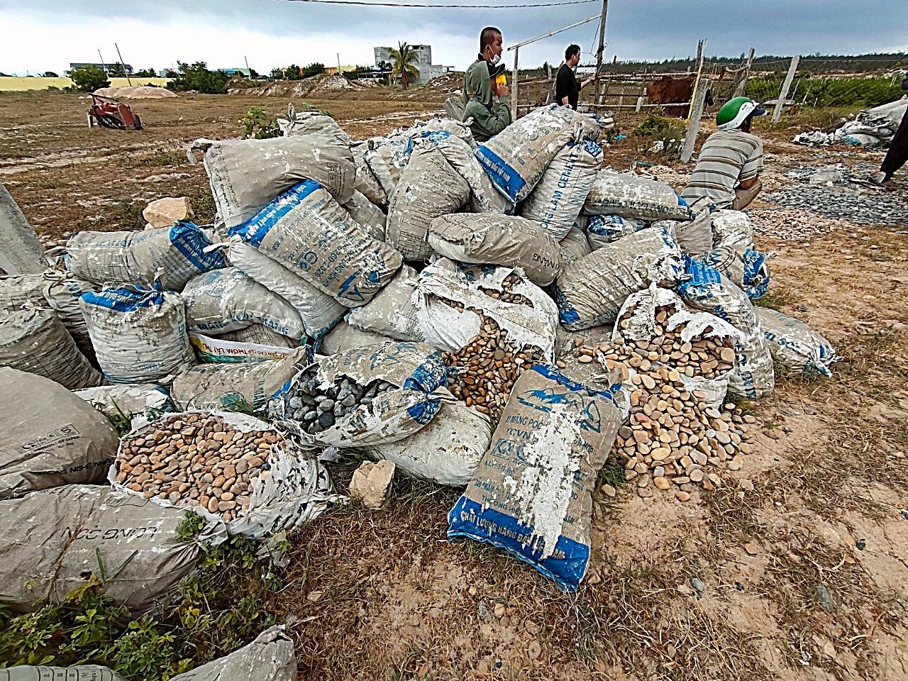 L&agrave;m r&otilde; nghi vấn 600 bao đ&aacute; 7 m&agrave;u bị trộm - Ảnh 1.