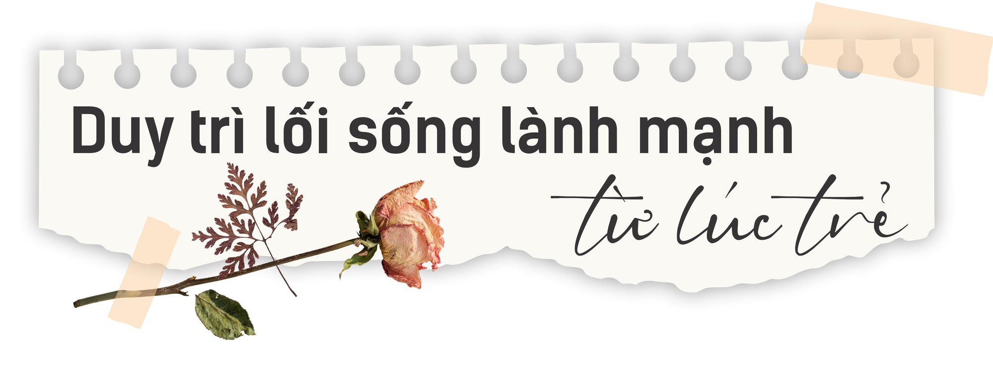 Đi tìm “bài thuốc” sống thọ cho người Việt - Ảnh 10.