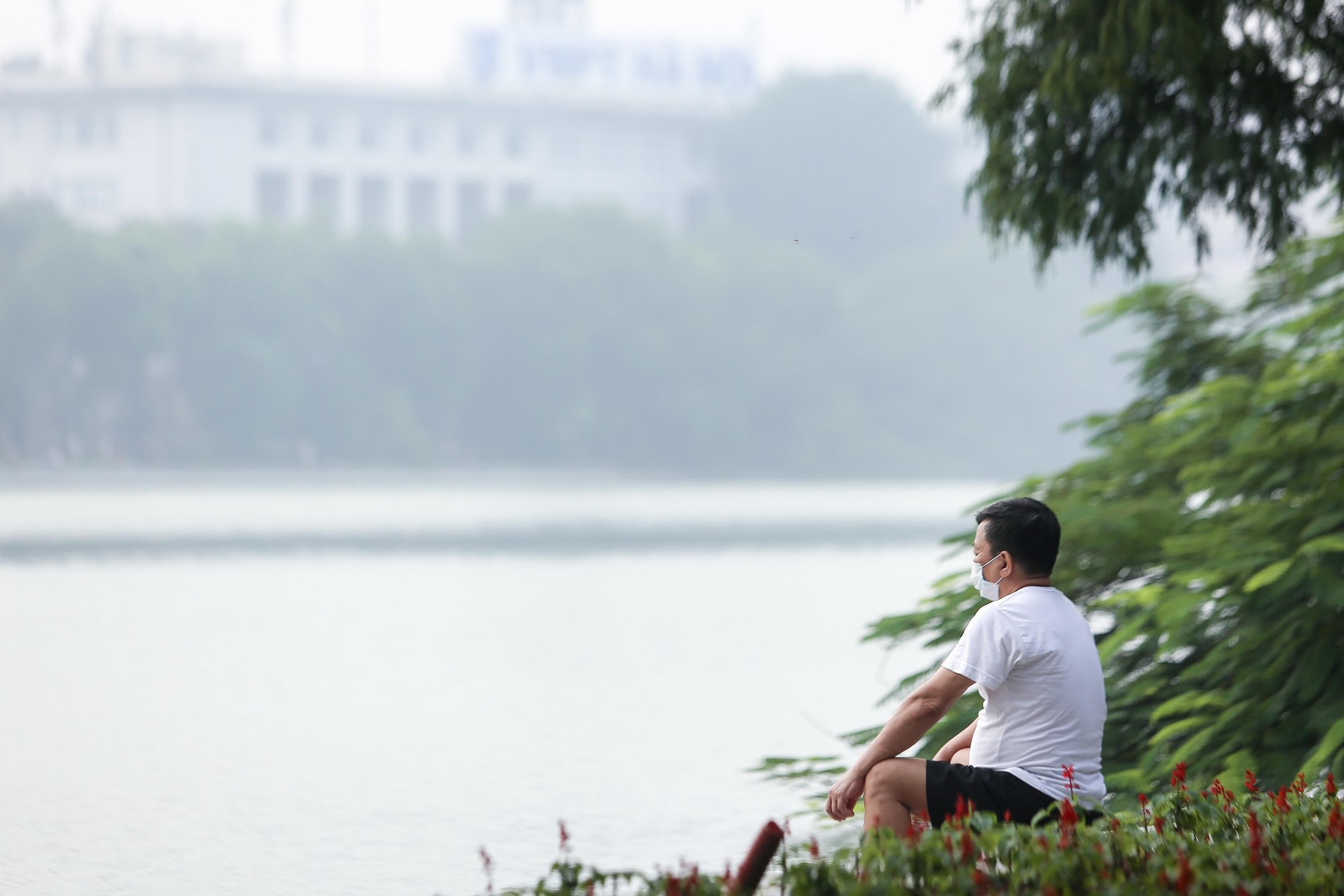 Đi tìm “bài thuốc” sống thọ cho người Việt - Ảnh 8.