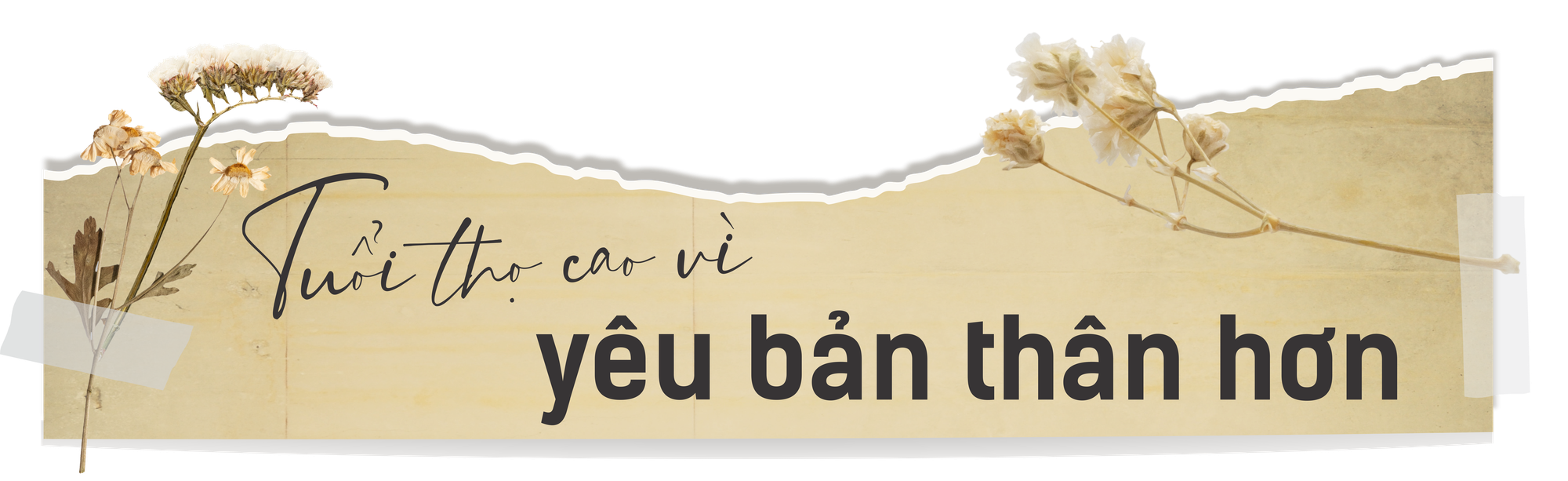 Đi tìm “bài thuốc” sống thọ cho người Việt - Ảnh 1.